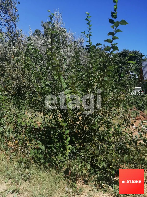 Продажа участка, Новофедоровка, Сакский район - Фото 6