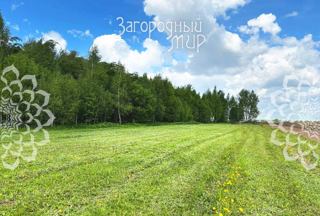Продам участок, Новорязанское шоссе, 25 км от МКАД - Фото 5