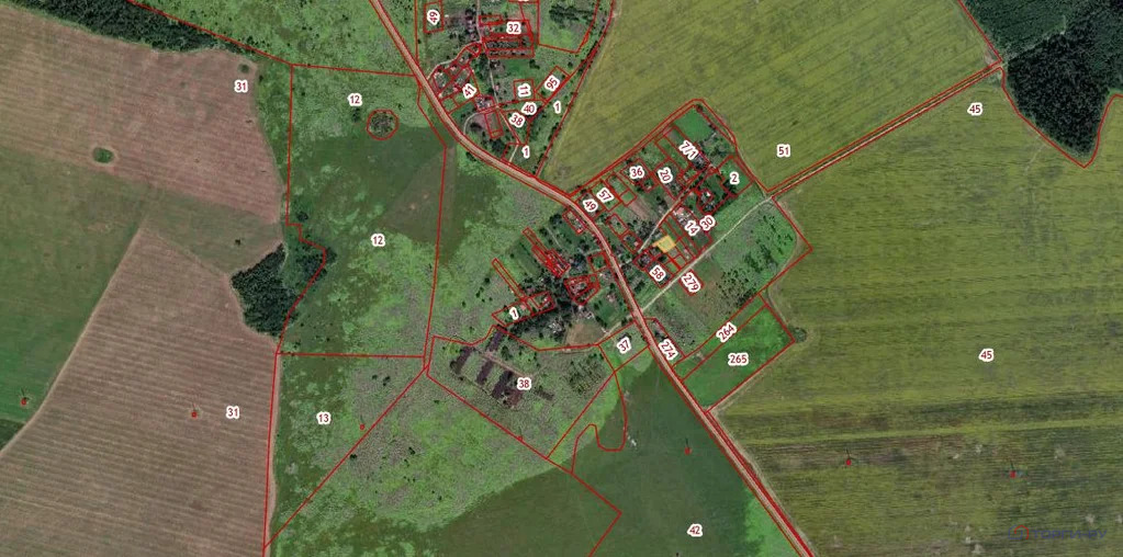 Продажа участка, Полобицы, Волосовский район - Фото 1