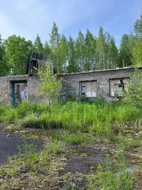 Продажа участка, Сланцы, Сланцевский район - Фото 7
