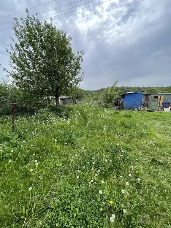 Продаю участок 15 соток, под пмж д. Госконюшня Ступинский район. - Фото 8