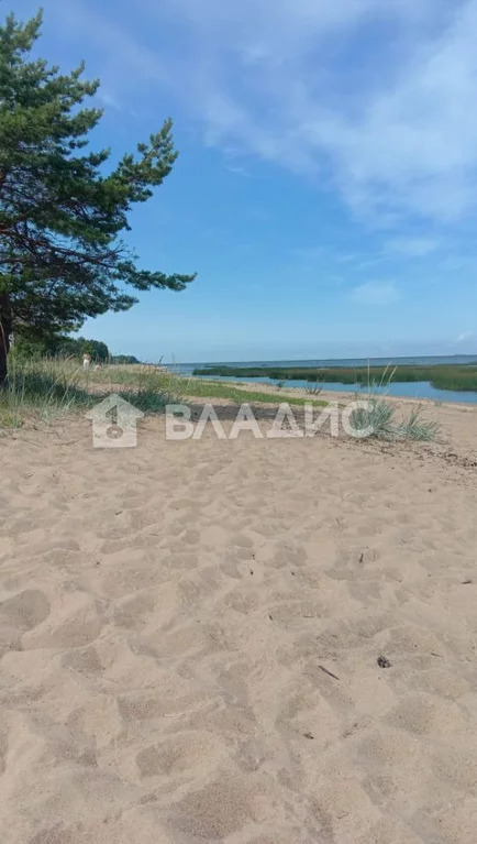 Ломоносовский район, городской посёлок Лебяжье, Пляжная улица, д.5, ... - Фото 16