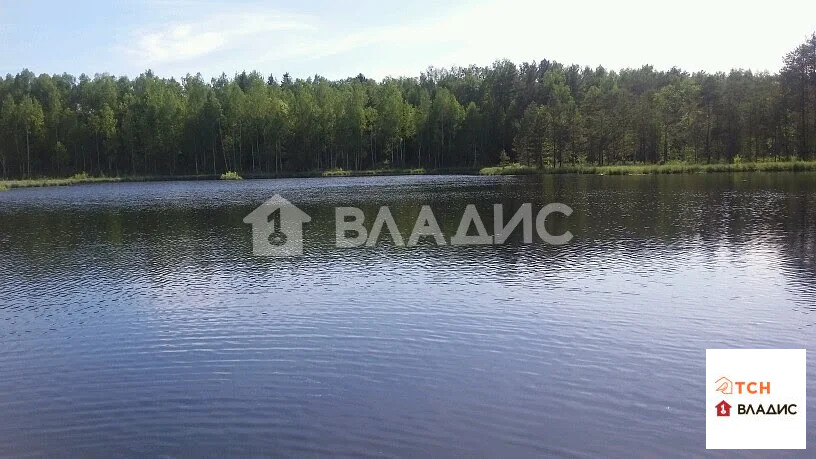 Продажа участка, СНТ Ветеран, Домодедово г. о. - Фото 3