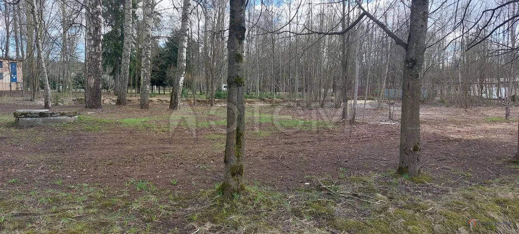 Продажа участка, Зеленогорск, ул. Вокзальная - Фото 6