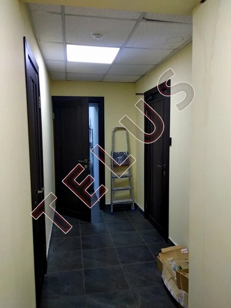 м. Баррикадная, Большая Грузинская, 903 м2, Здание (ном. объекта: 269) - Фото 19