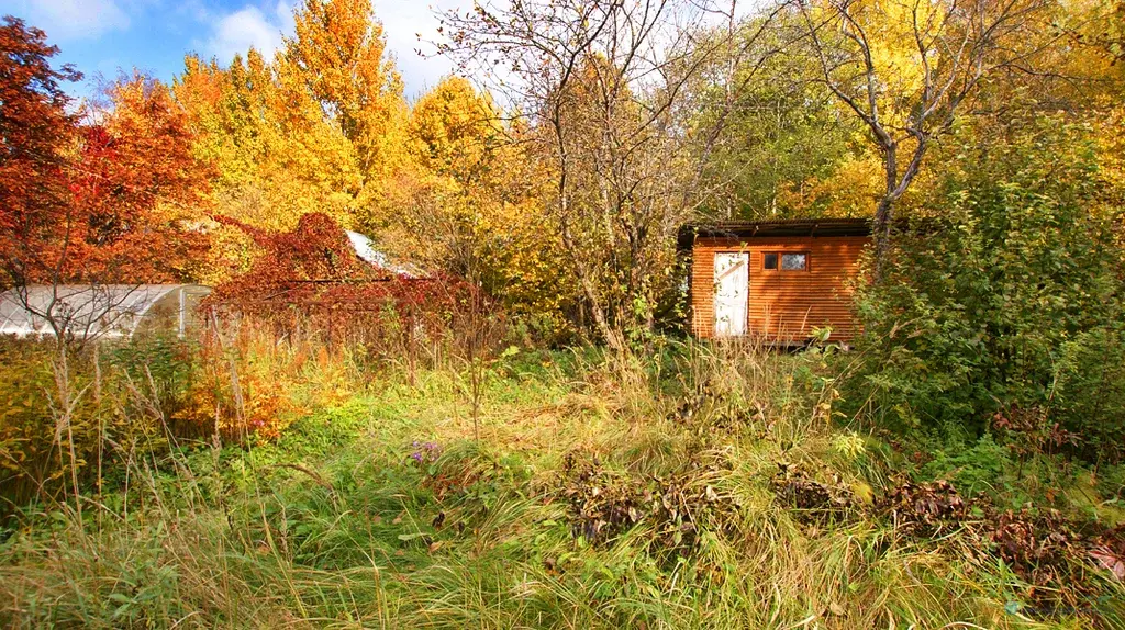 Дачный дом на Ново-рижском направлении в 120 км. от МКАД Волоколамск - Фото 1
