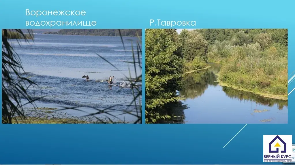 Продажа земельного участка в Таврово - Фото 6