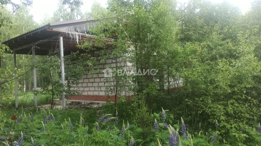 Судогодский район, деревня Маслово,  дом на продажу - Фото 15