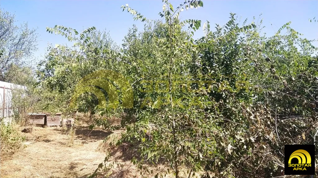 Продажа участка, Сенной, Темрюкский район, Набережная улица - Фото 3