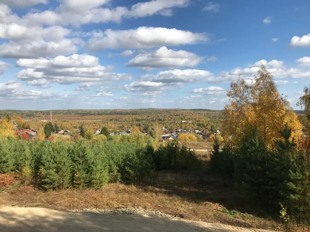 Продам земельный участок в лесной зоне Дегтярска - Фото 1