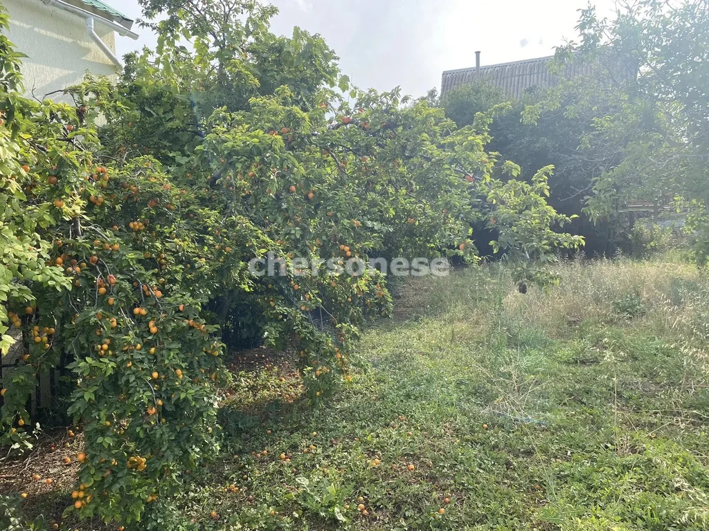 Продажа участка, Севастополь, переулок Виноградаря - Фото 2