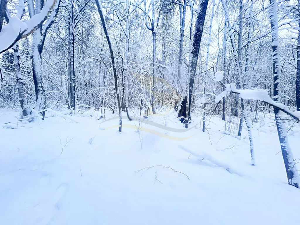 Продажа участка, Сокольники, Дмитровский район - Фото 2