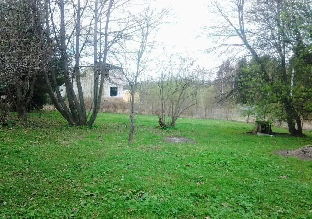 Участок 13,19 сотки ЛПХ в д. Судниково - Фото 3