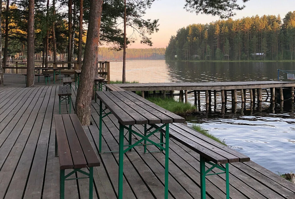 Продажа участка, Хязельки, Всеволожский район - Фото 21