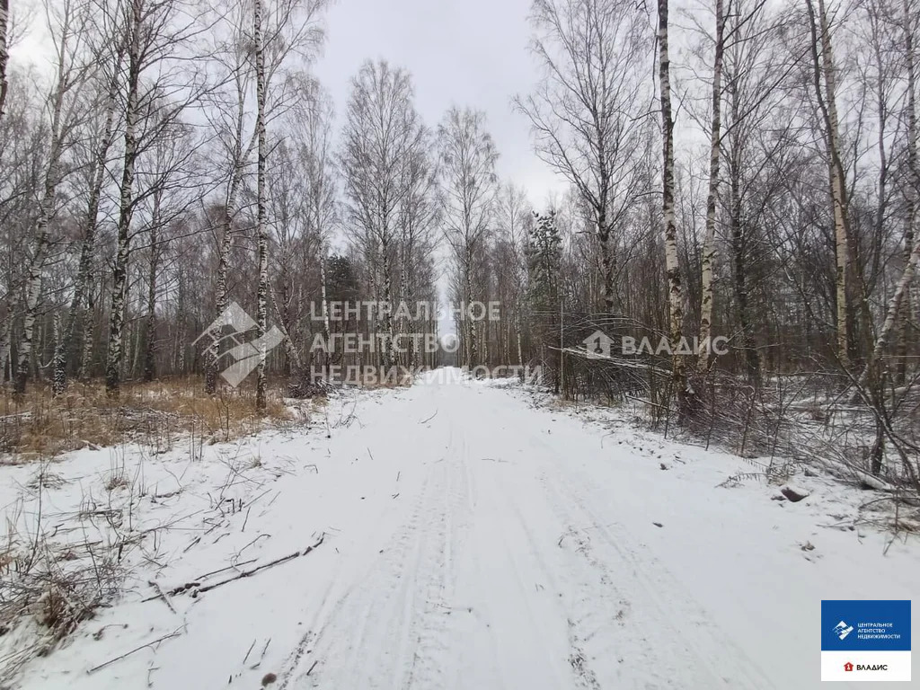 Продажа участка, Ушмор, Клепиковский район - Фото 4