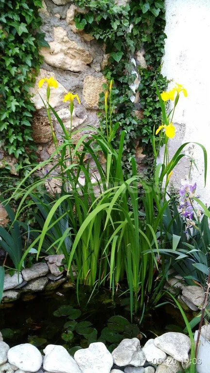 Продажа дома, Севастополь, ул. Гусева - Фото 15