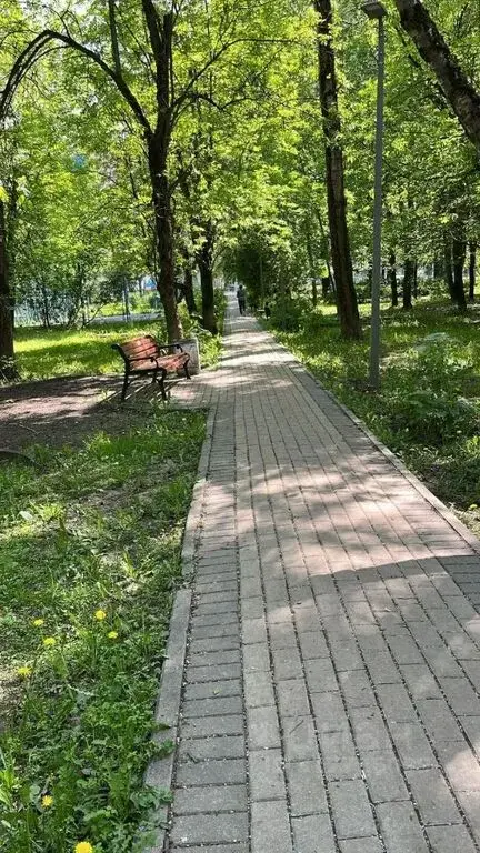 Продаю двухкомнатную квартиру 37.4м ул. Удальцова, 3К8, Москва, ЗАО, ... - Фото 19