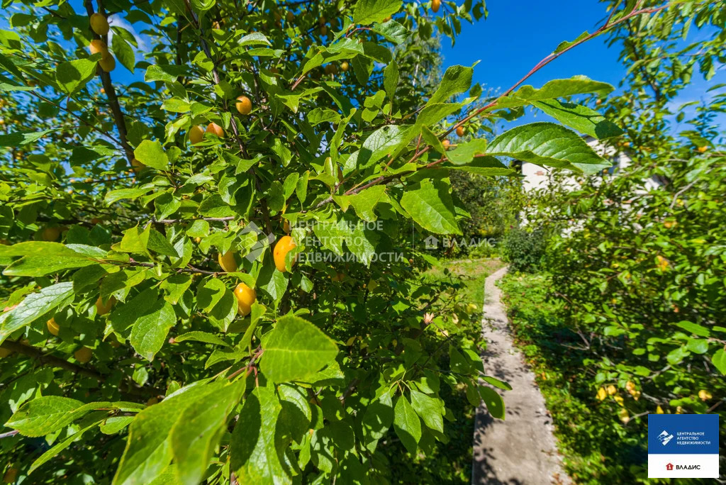 Продажа дома, Старолетово, Рыбновский район, садоводческое ... - Фото 14