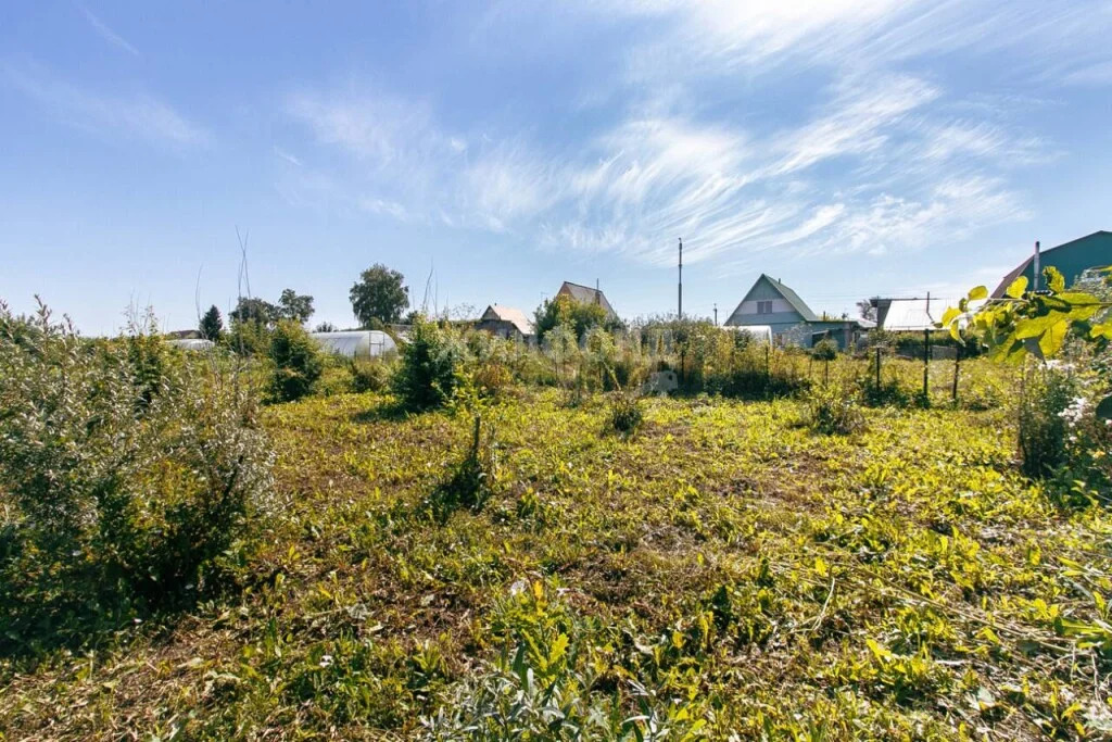 Продажа дома, Сокур, Мошковский район, ул. Советская - Фото 12