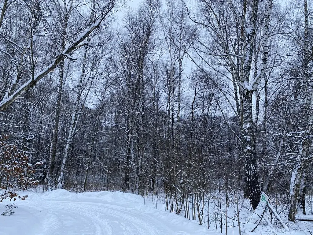 Лесной участок в коттеджном посёлке, 21 сотка, Финская деревня - Фото 4