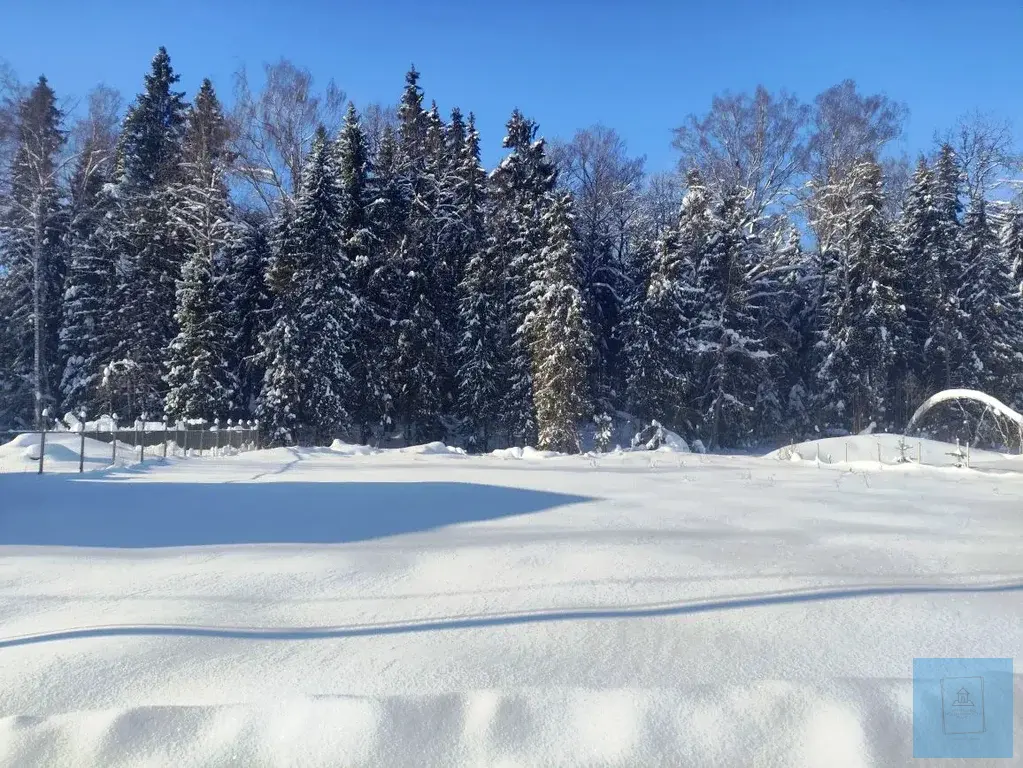 12 соток в Шапкино, СНТ Звездочка - Фото 4