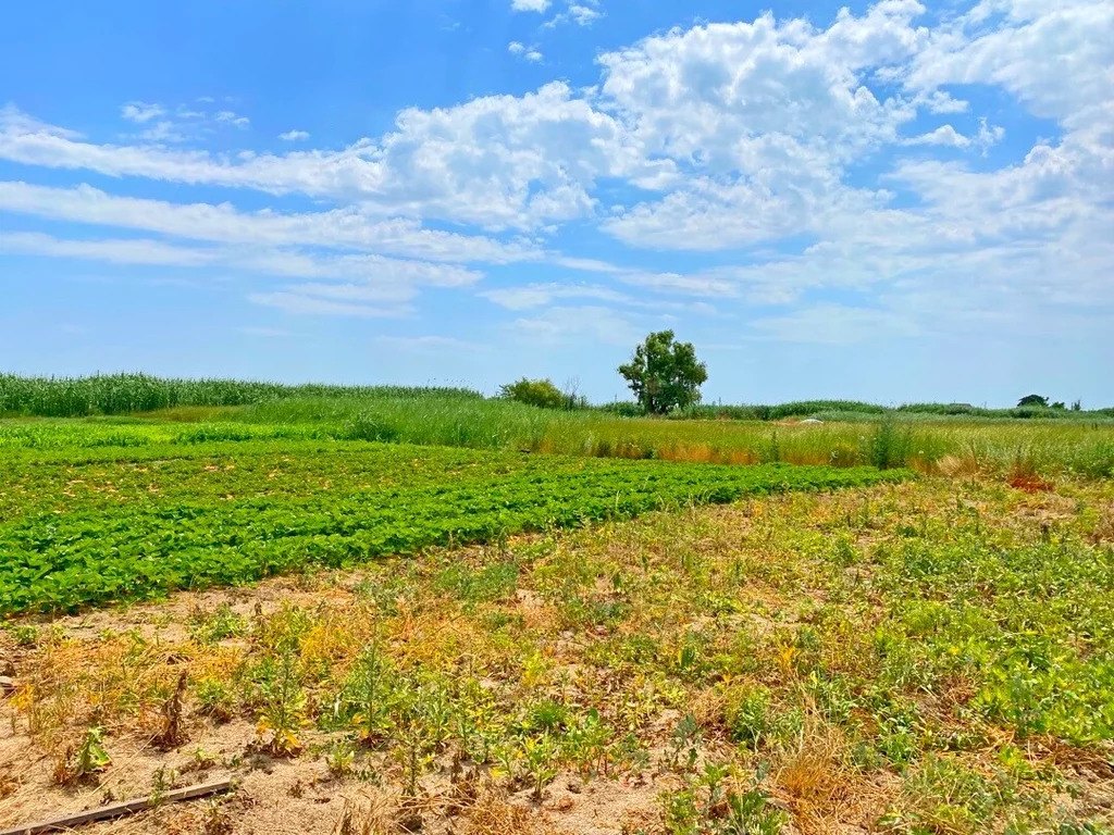 Продажа дома, Старонижестеблиевская, Красноармейский район - Фото 9