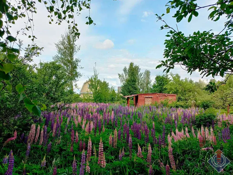 Продажа лесной дачи на 10 сот. в СНТ Порядино, Наро-Фоминский район - Фото 3