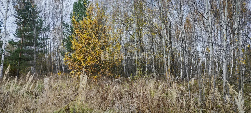 городской округ Владимир, Владимир, Октябрьский район, микрорайон ... - Фото 5