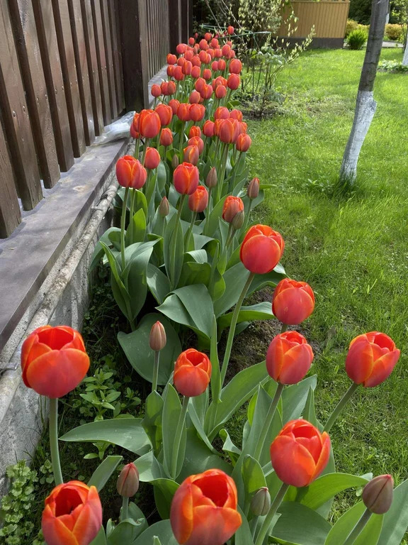 Коттедж 436 м2 на участке 36 сот. - Фото 24