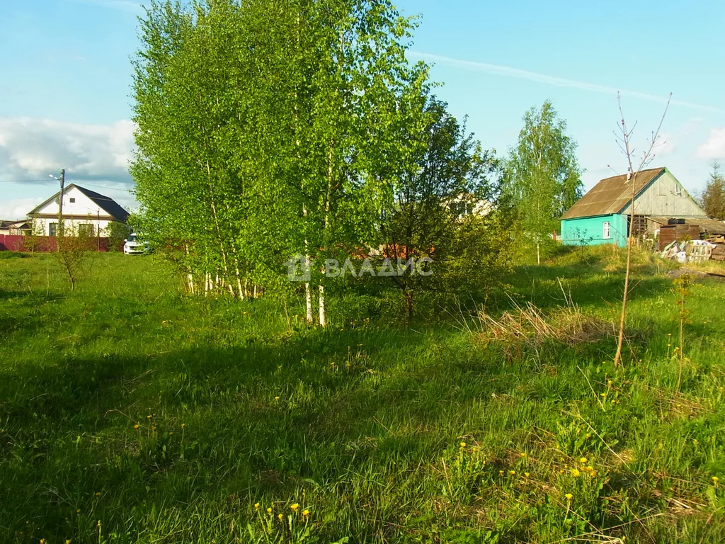 Суздальский район, село Малахово, Верхняя улица,  земля на продажу - Фото 15