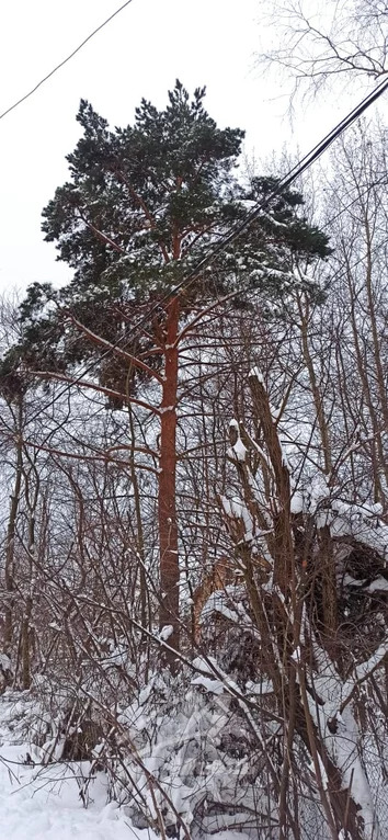 Продажа участка, Щелковский район, Ярославского ул. - Фото 5