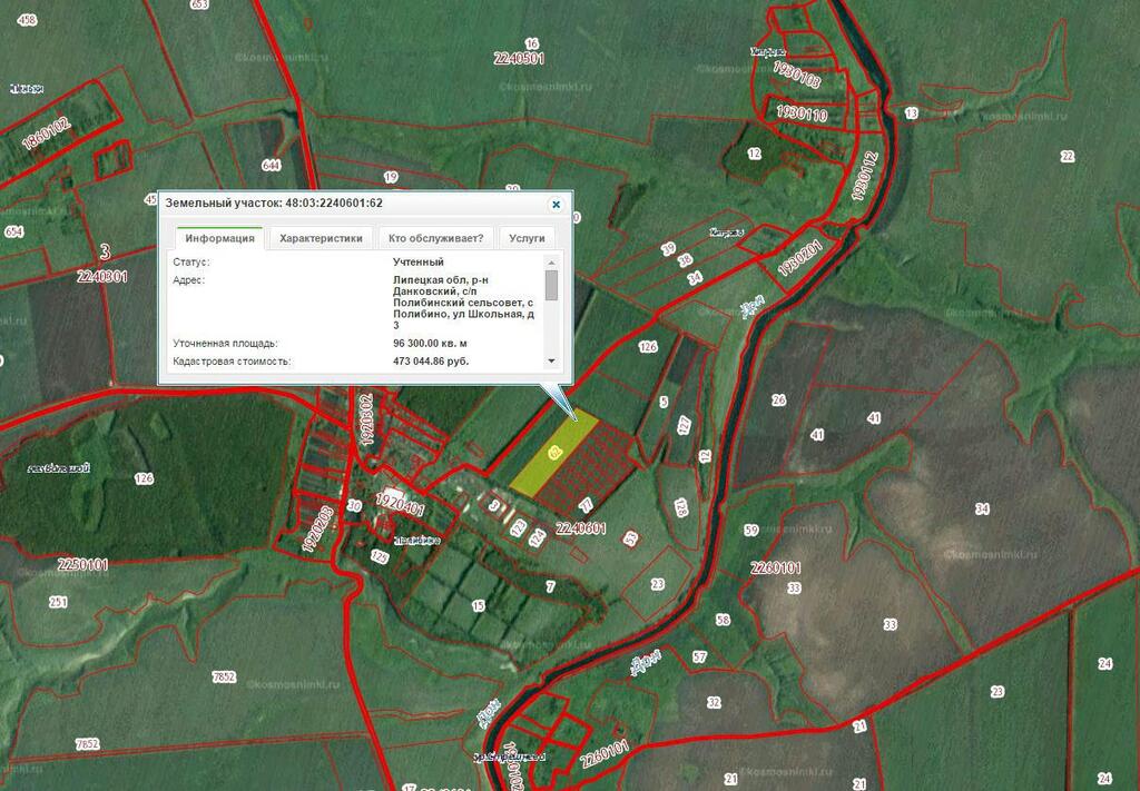 Кадастровая карта липецкой области данковского района публичная