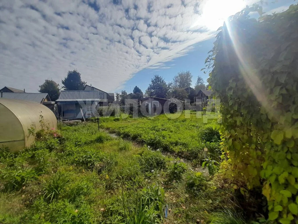 Продажа дома, Льниха, Тогучинский район - Фото 5