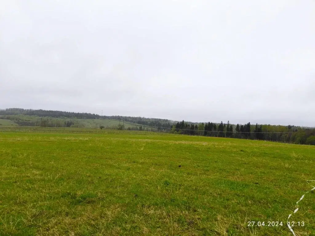 Промышленный участок 10 Га в 45 км от МКАД по Рогачевскому шоссе - Фото 4