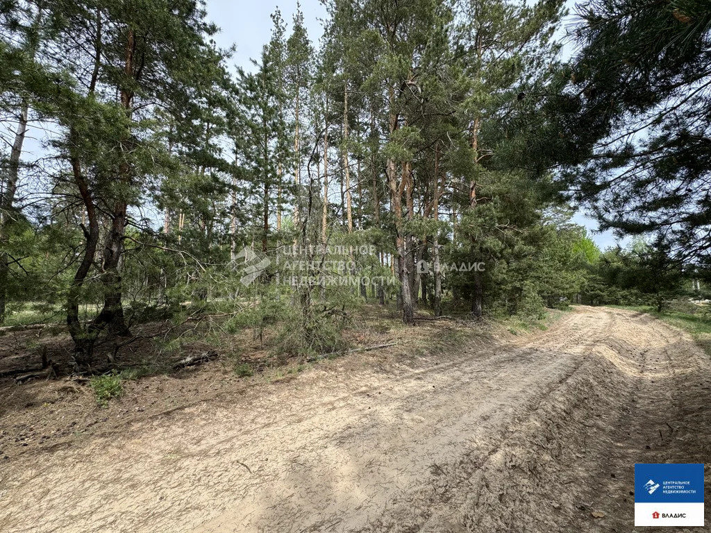 Продажа участка, Рязанский район, садоводческое товарищество ... - Фото 3