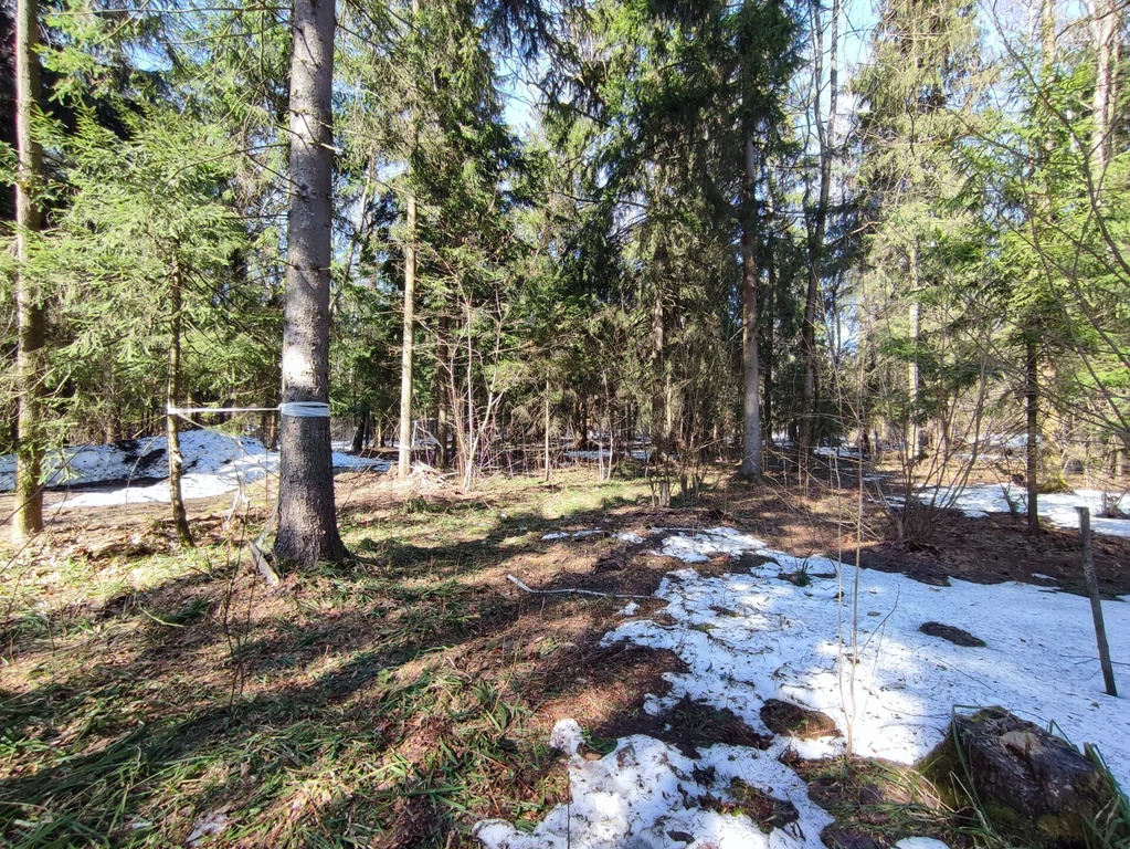 Продажа участка, НИИ Радио, Одинцовский район, Тыльная улица - Фото 4