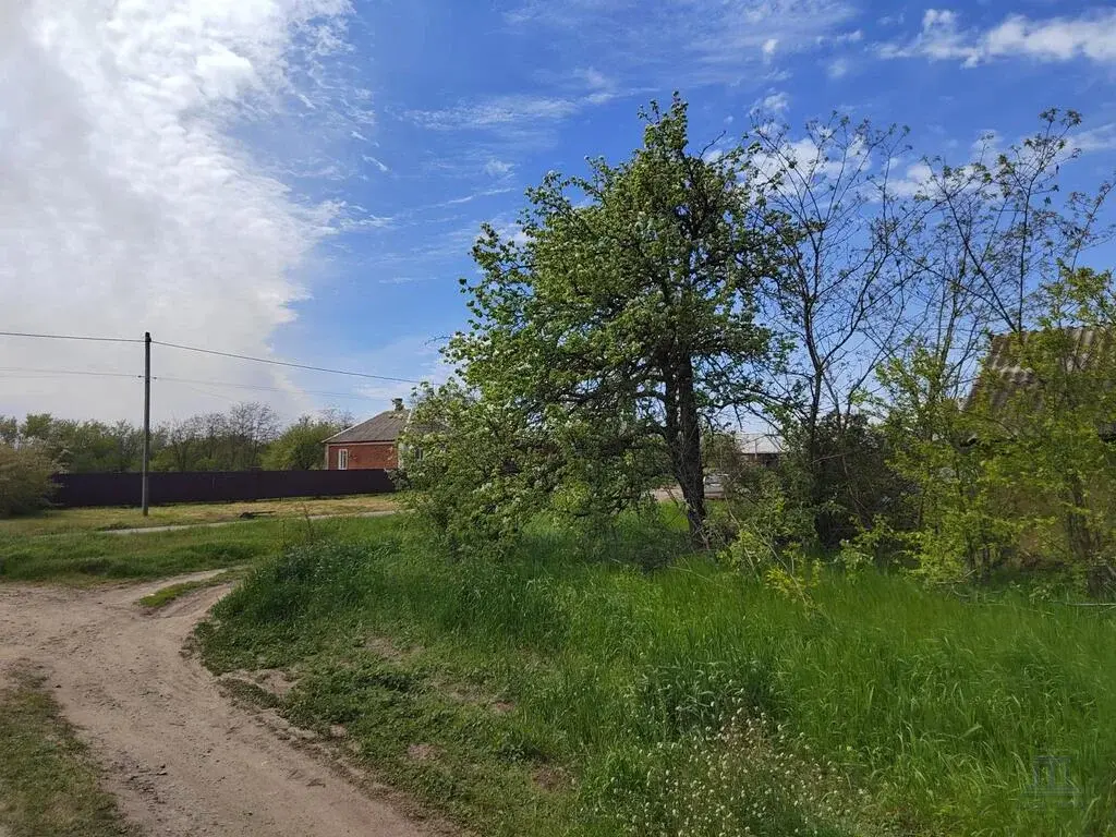 Продаю участок в станице Новозлотовская Семикаракорского района - Фото 8