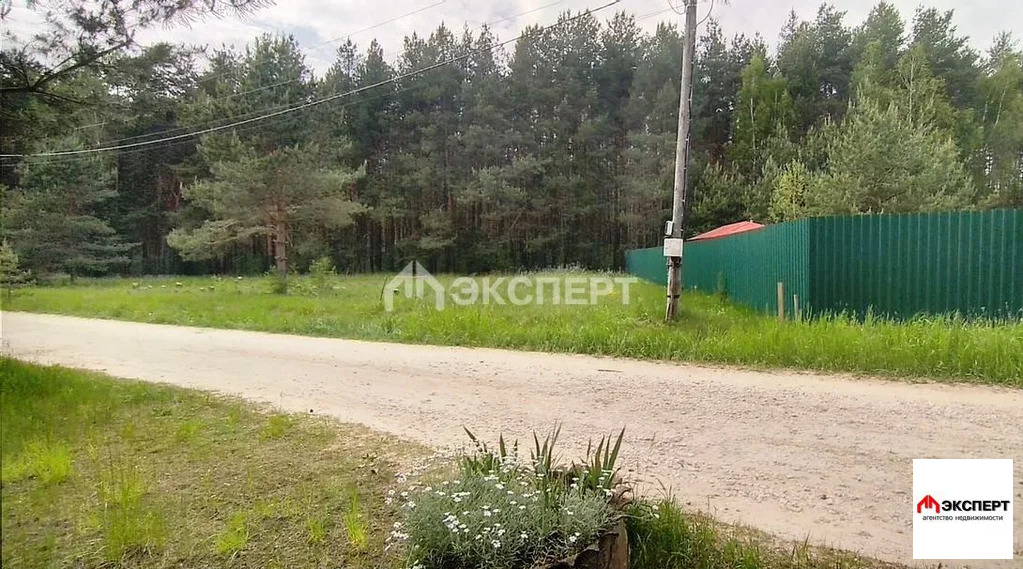 земельный участок, д. Бынино - Фото 5