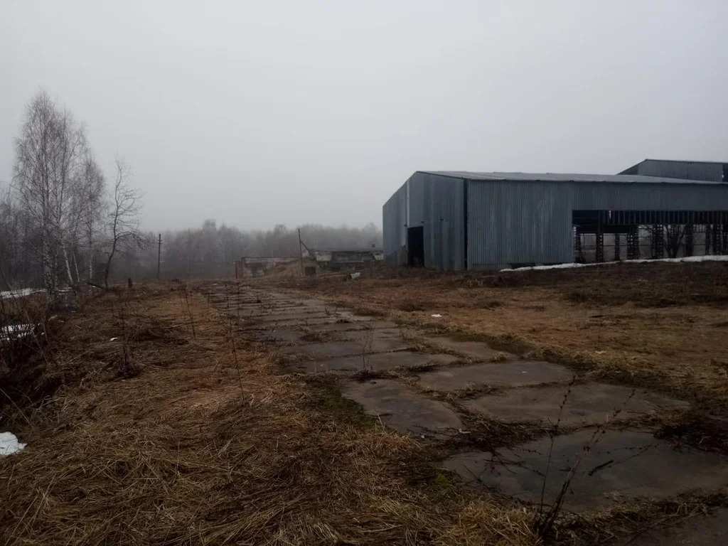 Сдается помещение сел.хоз. назначения 2370 м2 - Фото 1