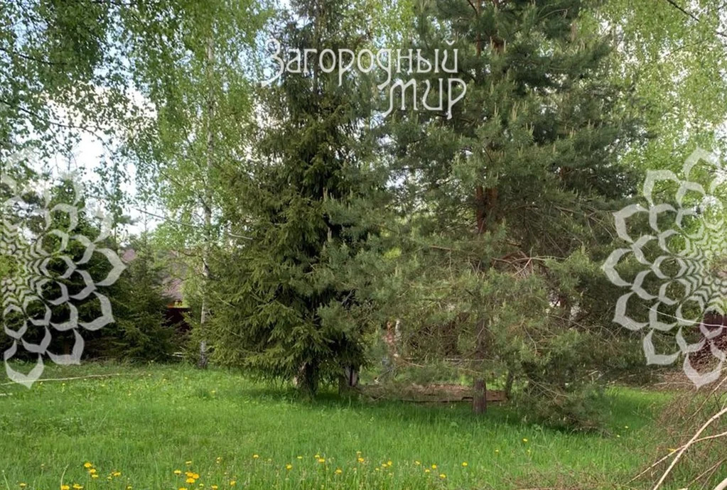 Продам участок, Дмитровское шоссе, 50 км от МКАД - Фото 6
