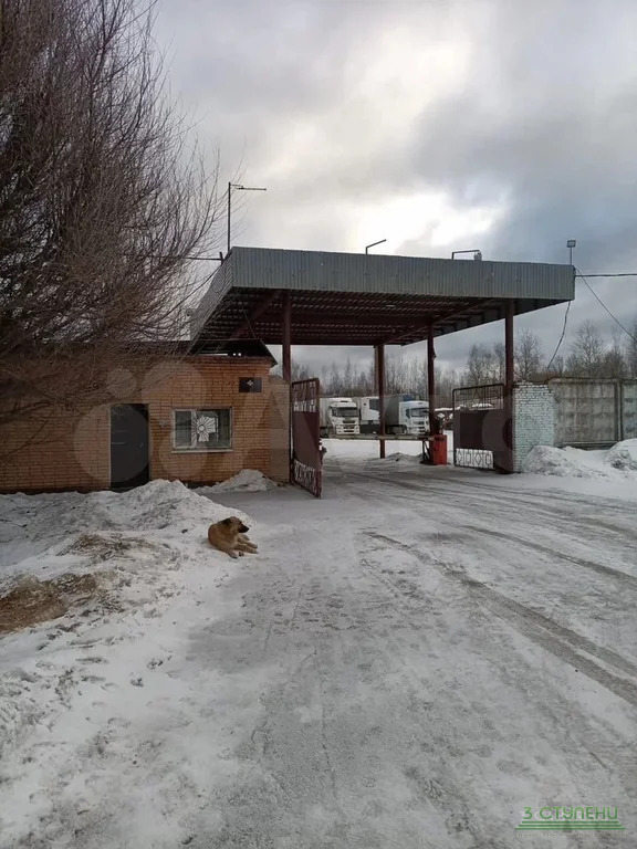 Продажа производственного помещения, Сергиево-Посадский район,  5 - Фото 6