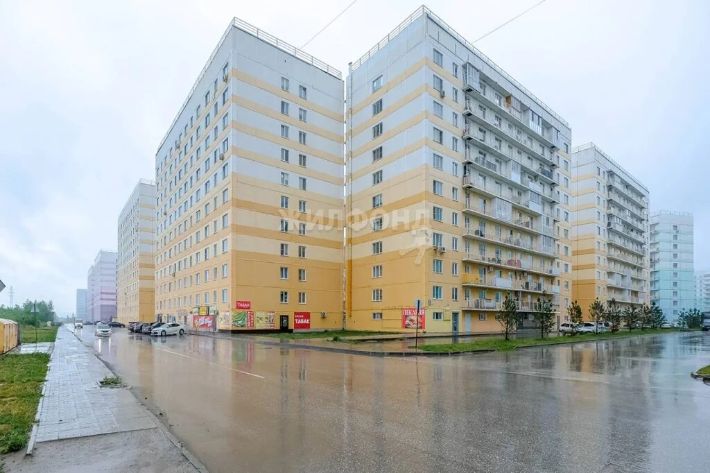 Продажа квартиры, Новосибирск, Виктора Шевелёва - Фото 17