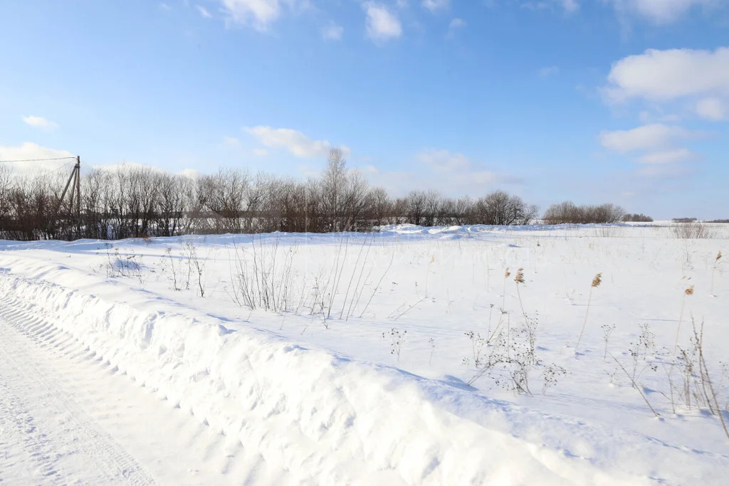 Продажа земельного участка, Червишево, Тюменский район, Тюменский р-н - Фото 10