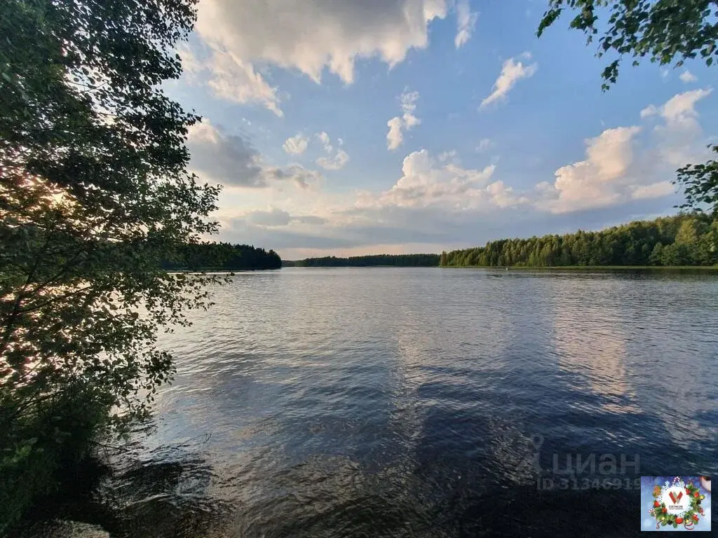 Продаю участок 10.0 сот. Владимирская область, Киржачский район, ... - Фото 4