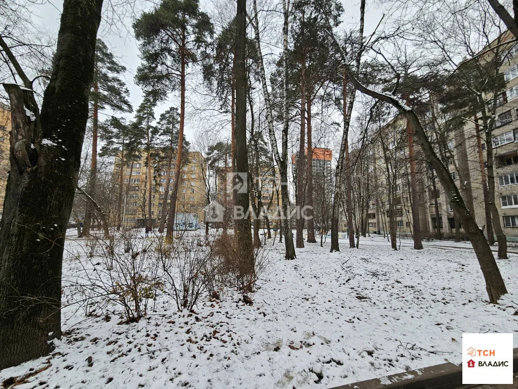 городской округ Пушкинский, Пушкино, улица Чехова, д.36, 3-комнатная ... - Фото 2