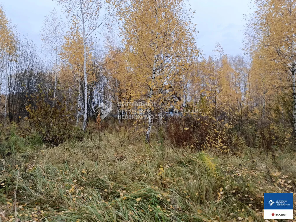 Продажа участка, Новоселки, Рязанский район, Фруктовая улица - Фото 7