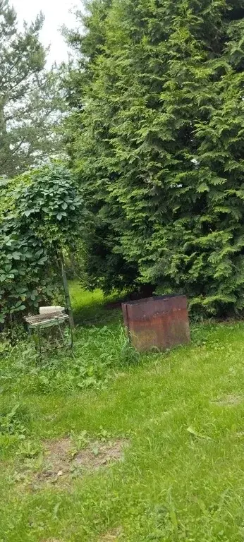 Сдаю дачу на лето у реки - Фото 8