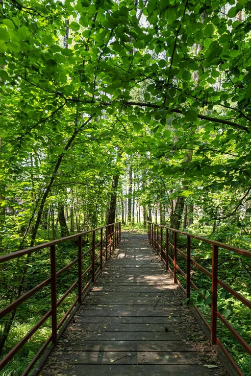 Коттедж 230 м2 на участке 6 сот. - Фото 19