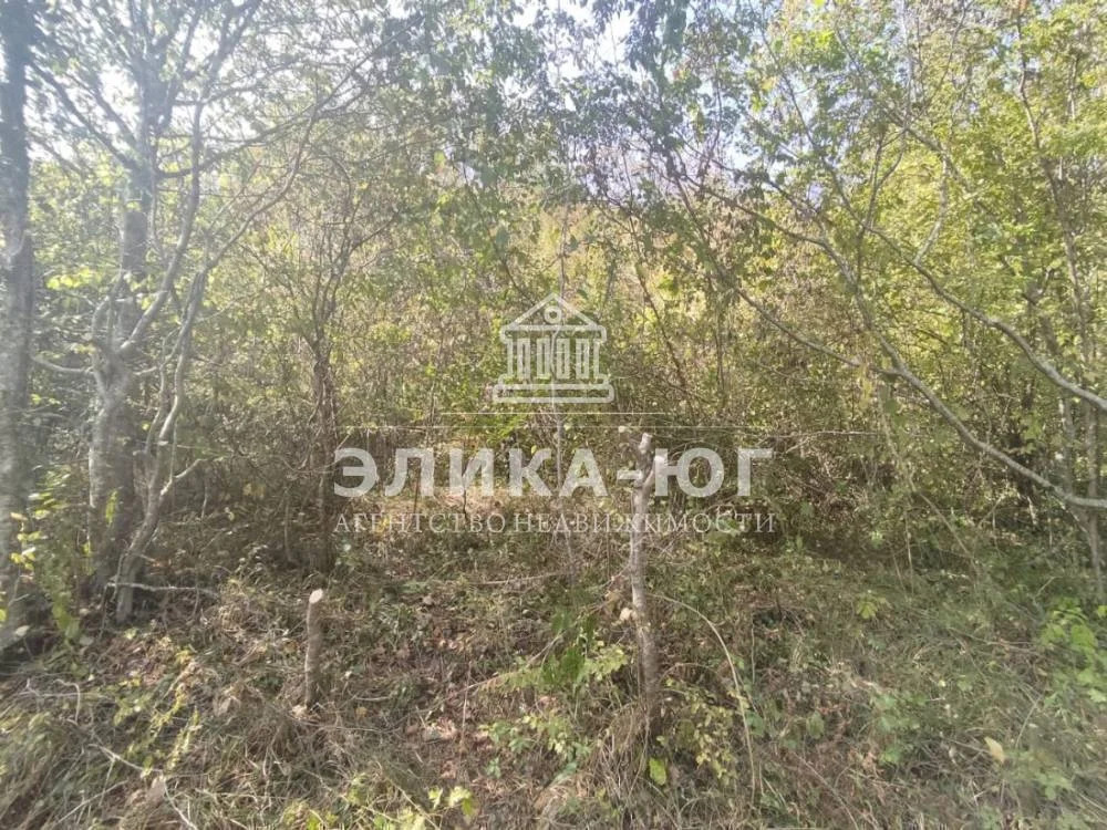 Продажа участка, Джубга, Туапсинский район, Персиковая ул. - Фото 2