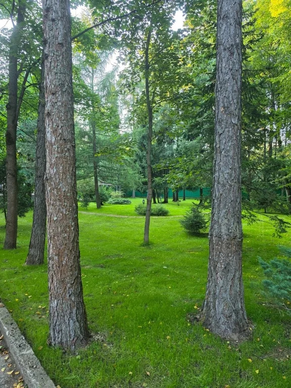Продажа дома, Трудовая, Мытищинский район, Садовый проезд - Фото 17